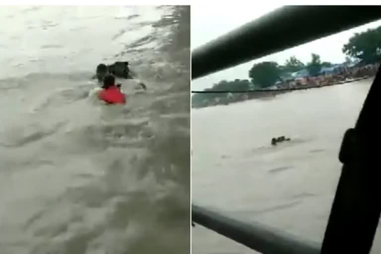 Water Police in Haridwar saved the lives of seven Kanwariyas drowning in the Ganges