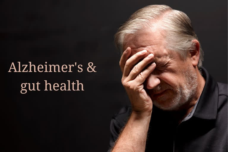 Alzheimers and gut health, what is Alzheimer's, what are the symptoms of Alzheimers, who is at risk of Alzheimers, can gut health cause Alzheimers