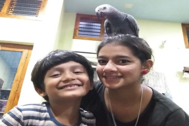 Karnataka: Missing parrot Rustuma found, owner gave a reward of 85 thousand
