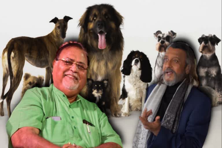 partha-chatterjee-matches-mithun-chakraborty-as-dog-lover