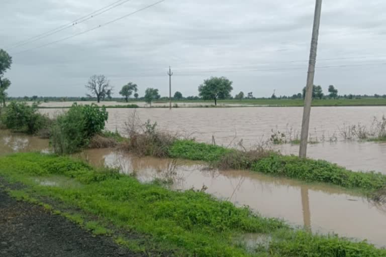 flood bembla river amravati