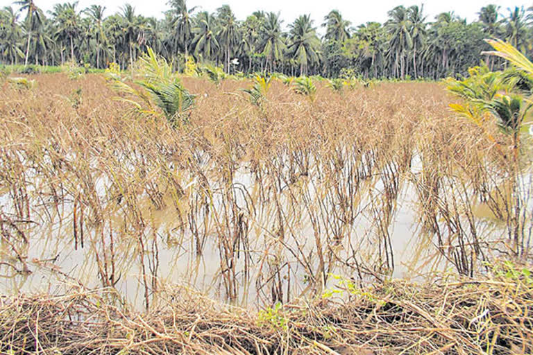 గోదావరి వరద తగ్గుముఖం