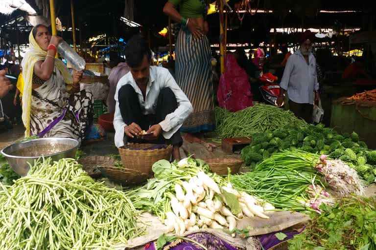 vegetable price in raipur today