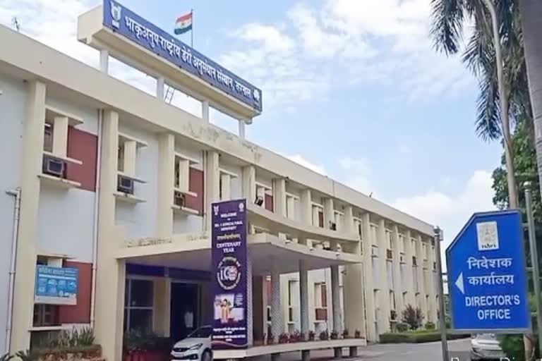 national dairy research institute karnal