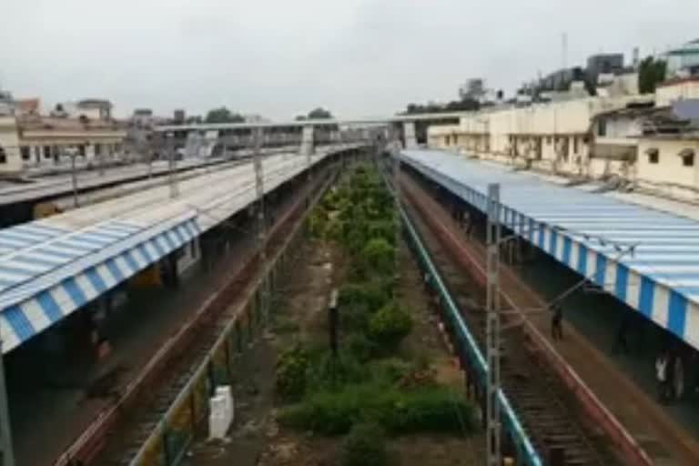 Garden on Station