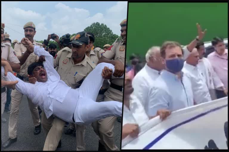 congress-protest