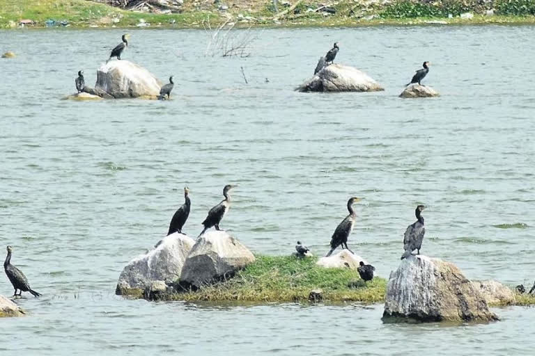 Ramsar list as wetlands of international