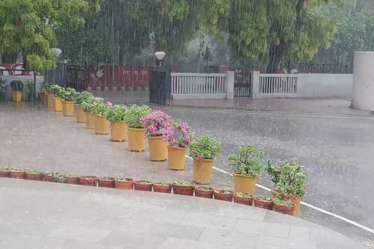 Rain In Haryana