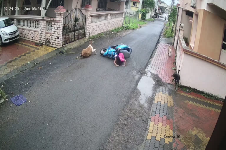 ഉടമയക്കും മുനിസിപ്പാലിറ്റി അംഗങ്ങള്‍ക്കുമെതിരെ കേസ്