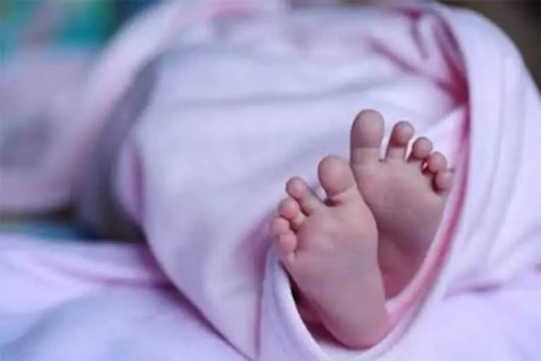 Kollam Ashtamudi new born baby death  lady died after Delivery at kollam Ashtamudi  new born baby died at Kollam Ashtamudi  കൊല്ലത്ത് പ്രസവത്തെ തുടർന്ന് യുവതി മരിച്ച സംഭവം  കൊല്ലത്ത് നവജാത ശിശു മരിച്ചു  പ്രസവത്തെ തുടർന്ന് യുവതി മരിച്ചതിന് പിന്നാലെ കുഞ്ഞും മരിച്ചു  കൊല്ലത്ത് പ്രസവത്തെ തുടർന്ന് യുവതി മരിച്ചതിന് പിന്നാലെ കുഞ്ഞും മരിച്ചു