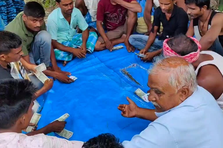 Illegal Gambling at Kalgachia