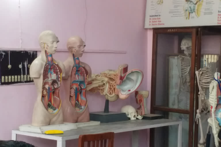 plastination in ayush university kurukshetra