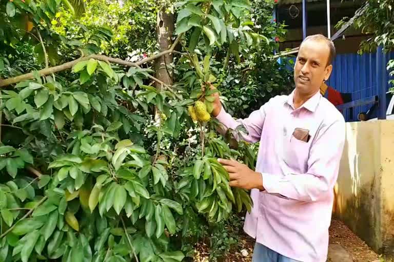 ಮಾದರಿ ರೈತ ವೆಂಕಟರಾಮಾಂಜನೇಯ