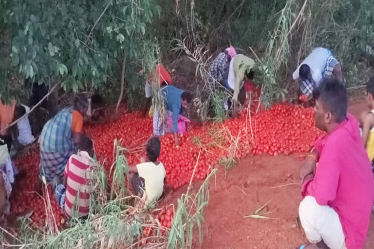 தக்காளிக்கு உரிய விலை கிடைக்காததால் விவசாயிகள் வேதனை