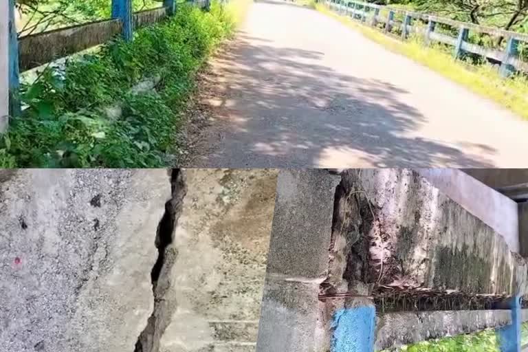 Payyannur Kavvayi bridge in danger in Kannur  കാലപ്പഴക്കത്താൽ നാശോന്മുഖമായ അവസ്ഥയിൽ പയ്യന്നൂർ കവ്വായി വാടിപ്പുറം പാലം  പയ്യന്നൂർ കവ്വായി വാടിപ്പുറം പാലം  പയ്യന്നൂർ കവ്വായി വാടിപ്പുറം പാലം ഭീഷണി  പയ്യന്നൂർ കവ്വായി വാടിപ്പുറം പാലത്തിൽ വിള്ളൽ  അപകടാവസ്ഥയിൽ കണ്ണൂരിലെ പാലം