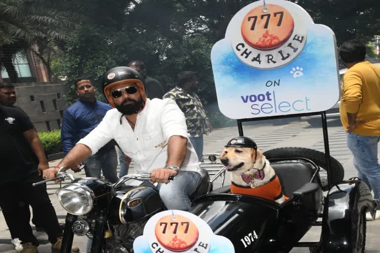 777-charlie-cinema-release-in-voot-select-from-july-29