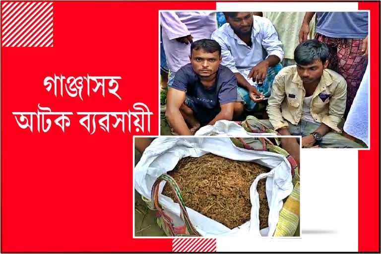 Ganja seized in Nalbari