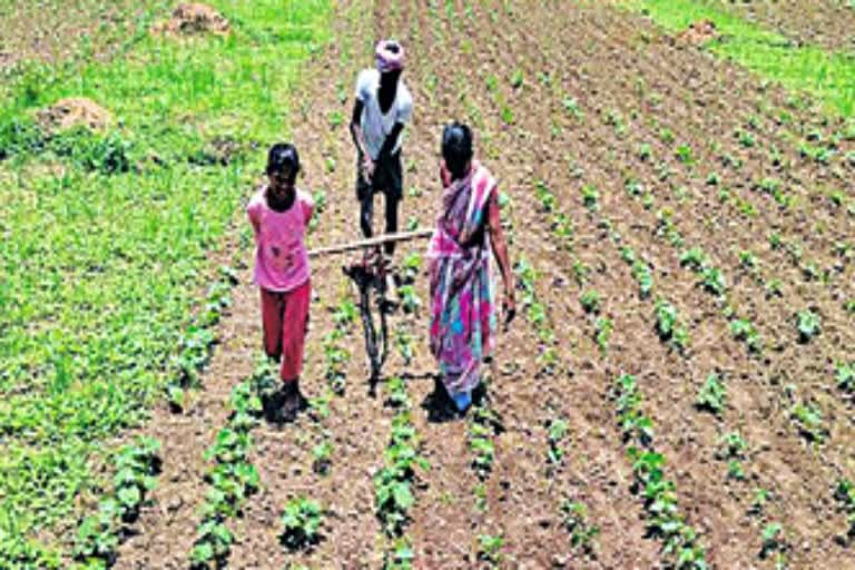 farmer-used-wife-and-daughter-as-yoke