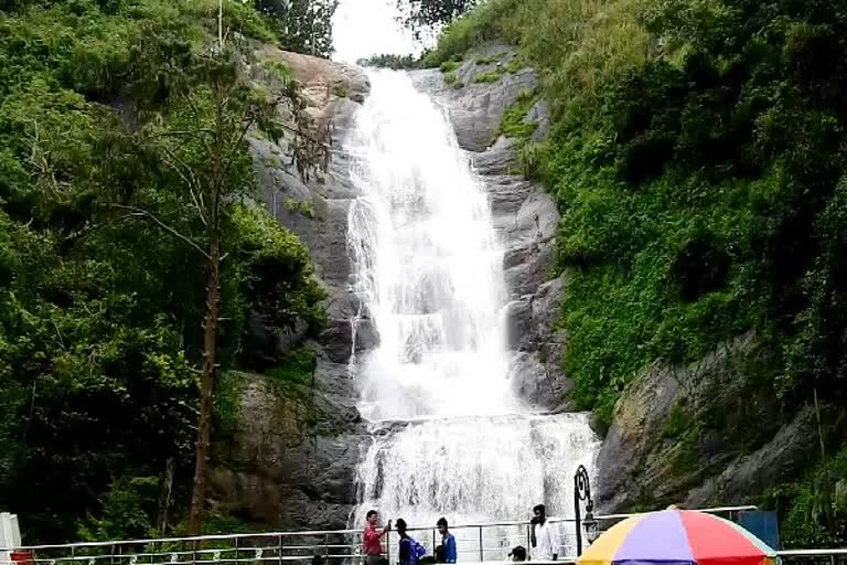 கொடைக்கானலில் தொடர் மழை: அருவிகளில் நீர்வரத்து கொட்டும் அழகிய காட்சி!