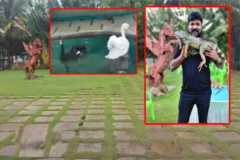 Casino organizer Praveen farmhouse is reminiscent of a zoo park  Mini zoo park in Hyderbad  ED notice to Casino organizer Praveen  Hyderabad crime news  ಹೈದರಾಬಾದ್​ನಲ್ಲಿ ಮೃಗಾಲಯದಂತಿರುವ ಕ್ಯಾಸಿನೊ ನಿರ್ವಾಹಕನ ತೋಟದ ಮನೆ  ಹೈದರಾಬಾದ್​ನಲ್ಲಿ ಸಣ್ಣ ಮೃಗಾಲಯ  ಪ್ರವೀಣ್​ ಸೇರಿ ಐವರಿಗೆ ಇಡಿ ನೋಟಿಸ್​ ಹೈದರಾಬಾದ್​ ಅಪರಾಧ ಸುದ್ದಿ