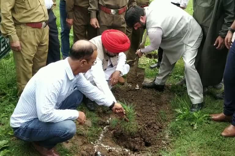 Tral Plantation Drive: ڈاڈسرہ، ترال میں شجرکاری مہم