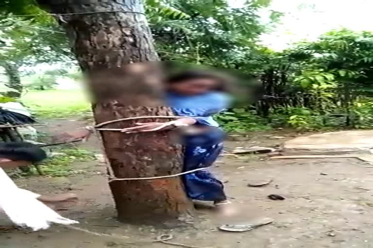 lover tying in a tree and beaten up by family persons