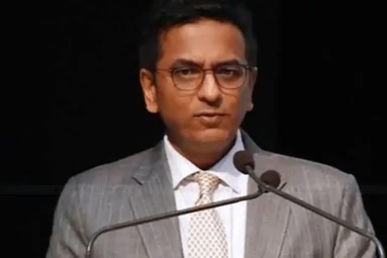 Justice DY Chandrachud Egalitarian Social Order