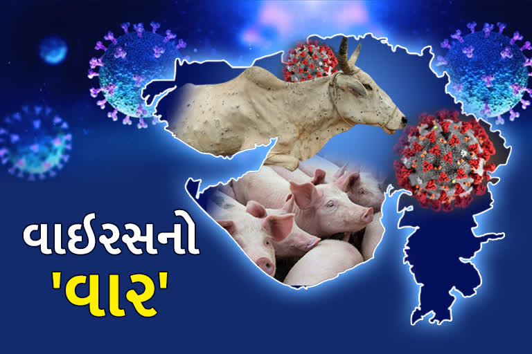 માણસ હેરાન, પશુ પરેશાન ખતમ નથી થતો વાયરસ રૂપી શેતાન