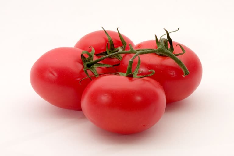 tomato