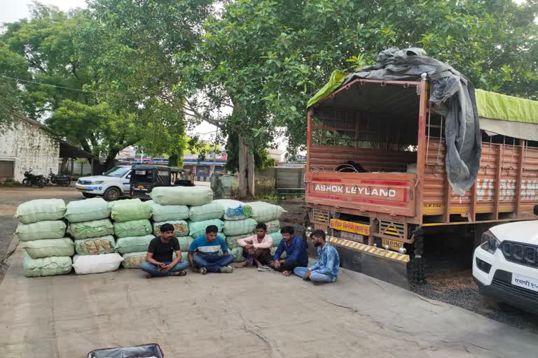 Sehore Narcotics Control Bureau seizes ganja