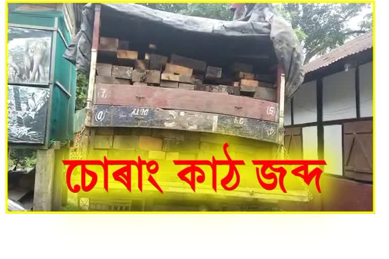 Two people arrested with illegal wood in Dibrugarh