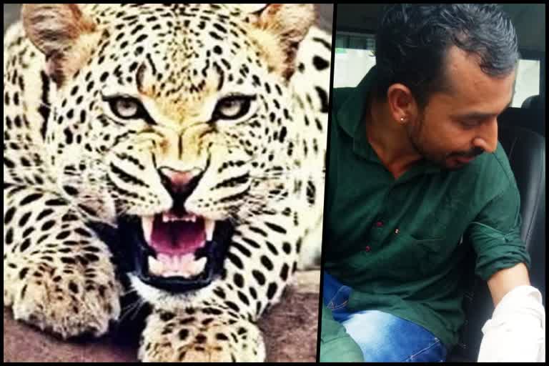 Leopard attack in Nahan on man