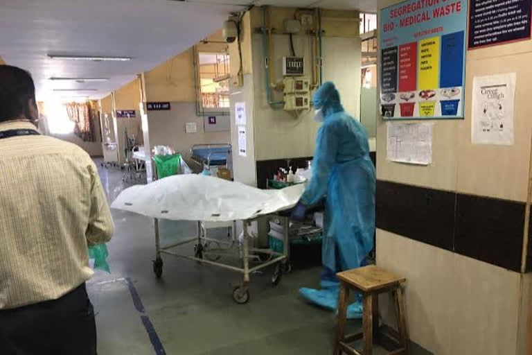 கவனக்குறைவால் விபரீதம் - எலி மருந்து கலந்த தக்காளியை சமைத்து சாப்பிட்ட பெண்மணி உயிரிழப்பு!