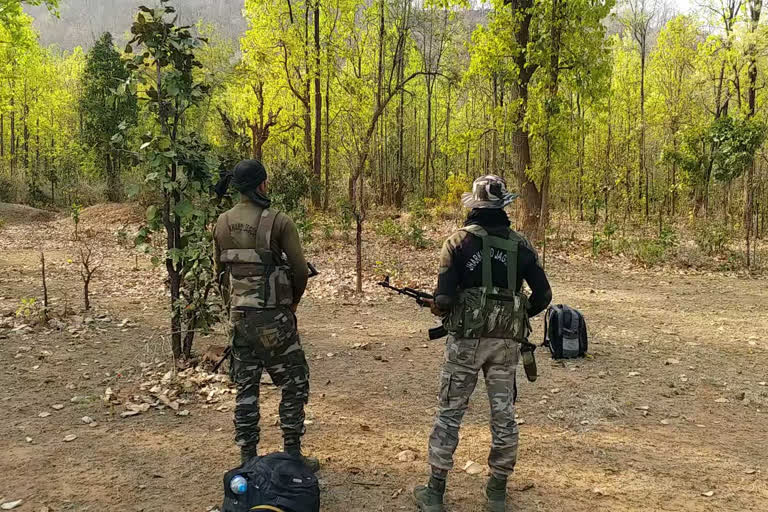 Can bombs in Latehar hidden by Maoists  Near Tentand Jungle