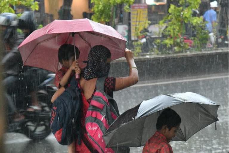 rain updates  Kerala rain updates  സംസ്ഥാനത്ത് വ്യാഴാഴ്‌ച വരെ തീവ്രമഴയ്ക്ക് സാധ്യത  കേരളത്തിൽ കനത്ത മഴക്ക് സാധ്യത  കേരളത്തിൽ മഴ മുന്നറിയിപ്പ്  സംസ്ഥാനത്ത് വ്യാഴാഴ്‌ച വരെ തീവ്രമഴയ്ക്ക് സാധ്യത  കേരളത്തിൽ 10 ജില്ലകളിൽ യെല്ലോ അലർട്ട്  Yellow alert in kerala