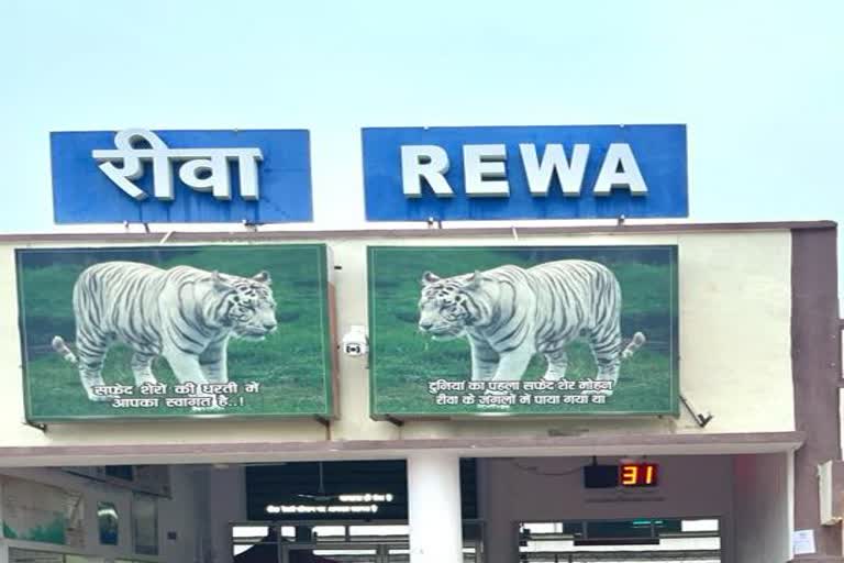 Rewa Railway Station