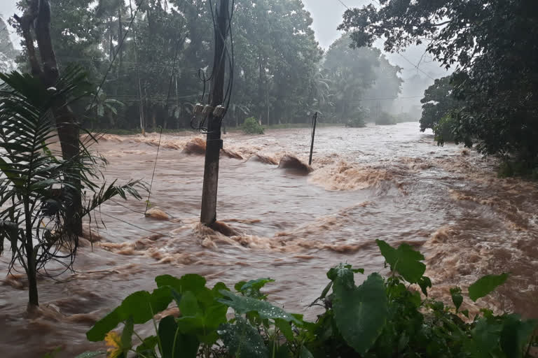 kottayam heavy rain  orange alert in kottayam  rain wrecks havoc in kottayam  leave for educational institutions in kottayam  കോട്ടയം കനത്ത മഴ  കോട്ടയം ഉരുൾപൊട്ടൽ  എരുമേലിയിൽ ഒരാളെ കാണാതായി  കോട്ടയത്ത് ഓറഞ്ച് അലർട്ട്  കേന്ദ്ര കാലാവസ്ഥ നിരീക്ഷണ കേന്ദ്രം