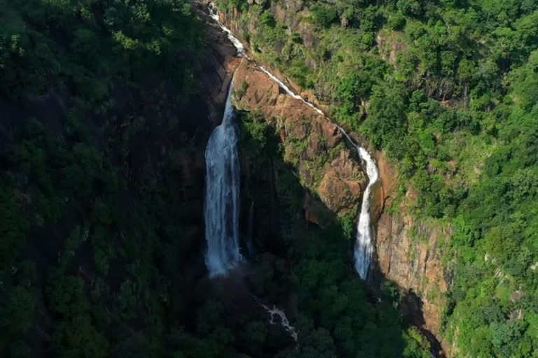 கொல்லிமலை அருவிகளில் குளிக்க தடை- மாவட்ட ஆட்சியர் உத்தரவு