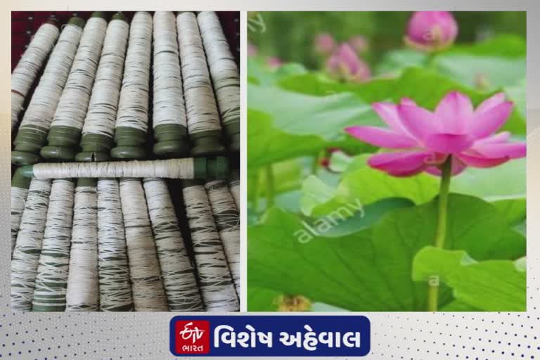 કમળની દાંડીના રેષામાંથી મહિલાઓને કાપડ વણાટ શીખવતી MSU વિદ્યાર્થિની