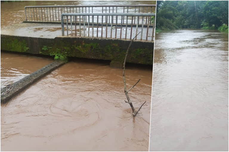 kerala rain  rain updates kerala  kuttanad alappuzha rain  കുട്ടനാട്  ആലപ്പുഴ മഴ മുന്നറിയിപ്പ്  ആലപ്പുഴ ജില്ല കലക്‌ടര്‍  ജാഗ്രത നിർദേശം പുറപ്പെടുവിച്ച് ആലപ്പുഴ ജില്ല കലക്‌ടര്‍