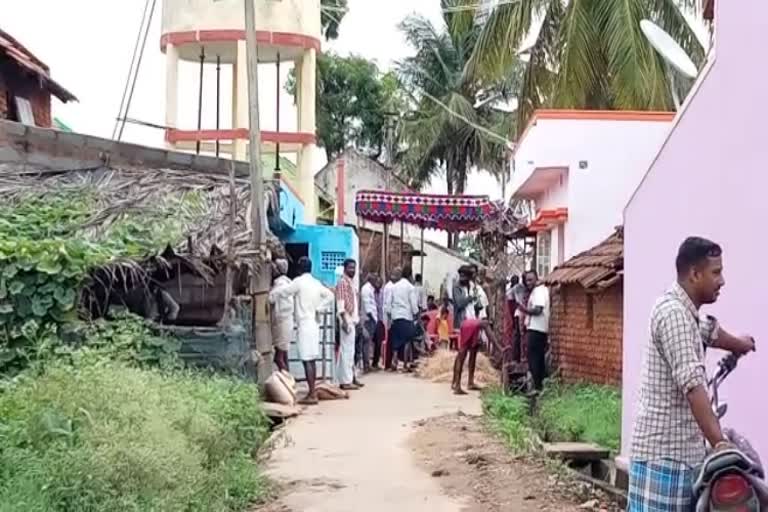 tiger attack in mysore