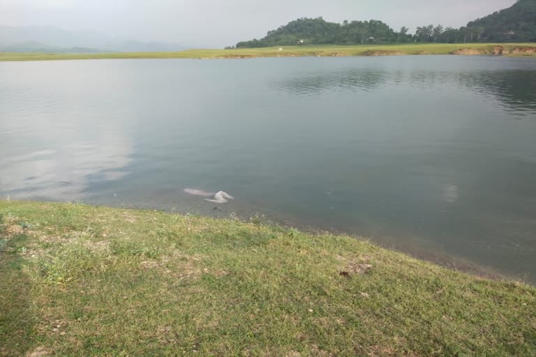 Gobind sagar lake una