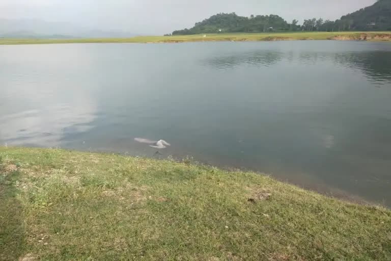 Punjab Youth Drowned