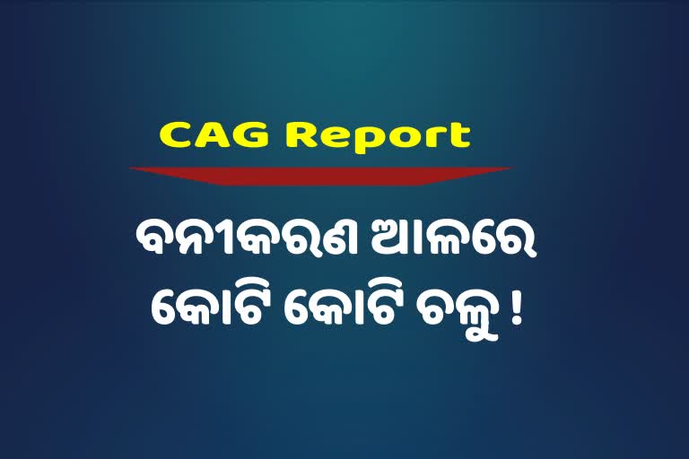 CAG Report