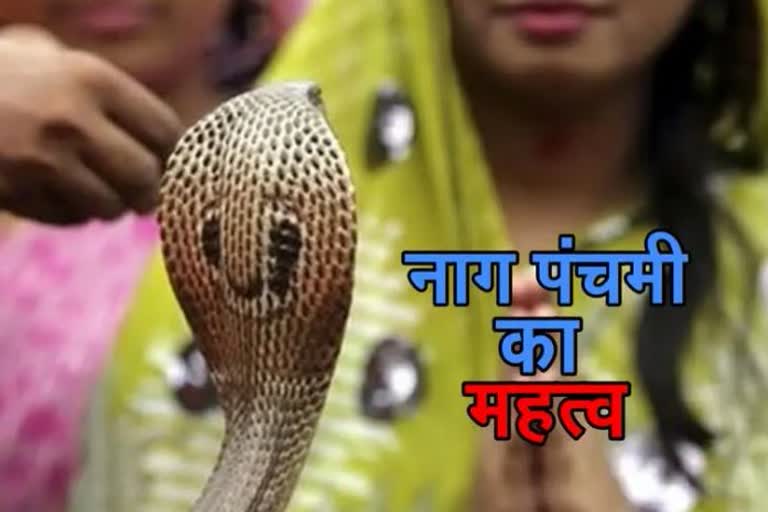 Nag Panchami 2022