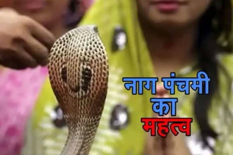 Nag Panchami 2022