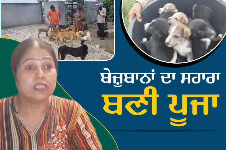 Dog Lover Pooja From Ludhiana