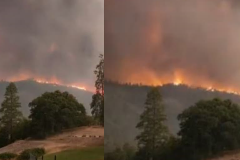 california forest fire latest updates  കാലിഫോര്‍ണിയയിലെ കാട്ടുതീ  അമേരിക്കയിലെ കാലിഫോർണിയയിലെ കാട്ടുതീ അതിഭീകരം  california forest fire  കാലിഫോര്‍ണിയയില്‍ കാട്ടുതീയില്‍ വ്യാപക നാശനഷടം