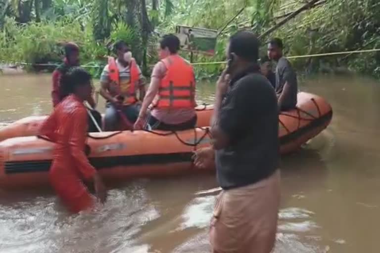 kodanad elephant pass resort in flood  kodanad elephant pass resort  kerala flood  ernakulam heavy rain  കോടനാട് ആന പരിപാലന കേന്ദ്രത്തിൽ വെള്ളം കയറി  കോടനാട് ആന പരിപാലന കേന്ദ്രം  എറണാകുളം മഴ