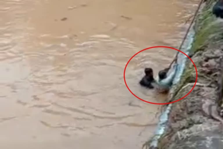 a-hindu-youth-jumped-into-the-river-and-rescued-a-muslim-youth-who-fell-into-the-river-in-sulya